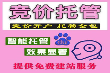 SEM推广实战：成功案例剖析